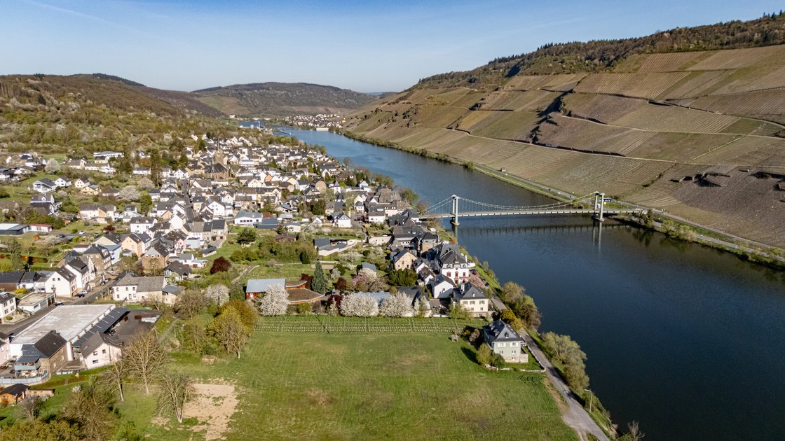 Luftaufnahme von Wehlen an der Mittelmosel