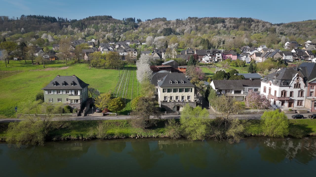 Uferallee Wehlen – Blick auf die Prüm-Weingüter